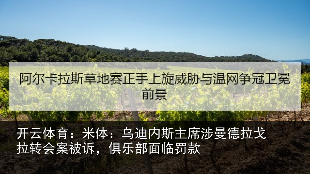 开云体育：米体：乌迪内斯主席涉曼德拉戈拉转会案被诉，俱乐部面临罚款