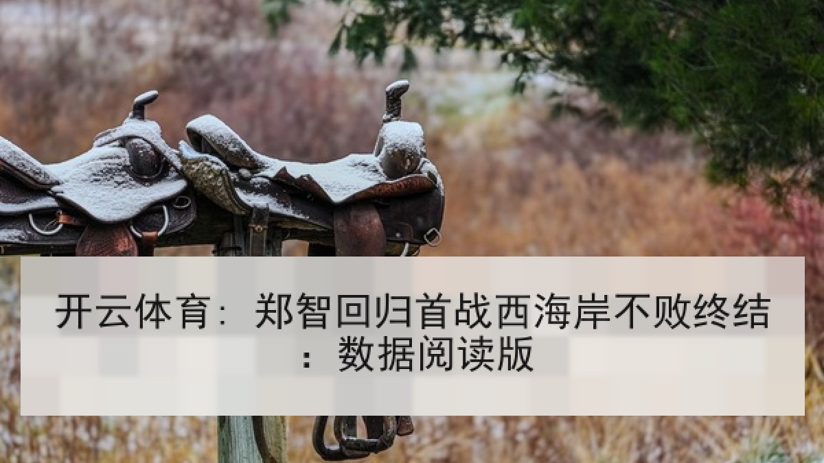 开云体育: 郑智回归首战西海岸不败终结：数据阅读版