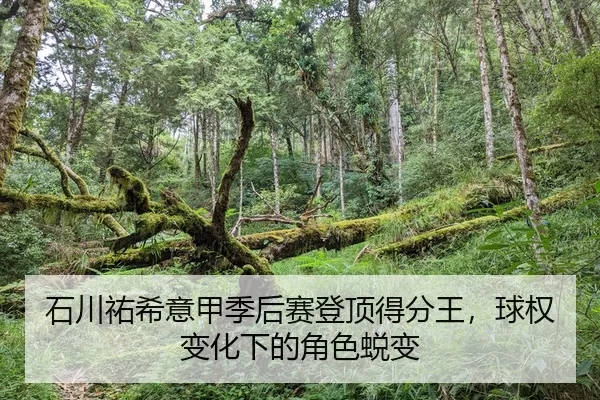 shi-chuan-you-xi-yi-jia-ji-hou-sai-deng-ding-de-fen-wang-qiu-quan-bian-hua-xia-de-jue-se-tui-bian-2-277.jpg