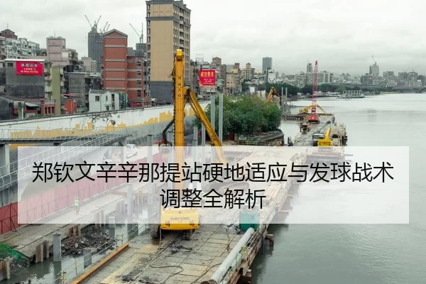 zheng-qin-wen-xin-xin-na-ti-zhan-ying-di-shi-ying-yu-fa-qiu-zhan-shu-tiao-zheng-quan-jie-xi-3-772.jpg