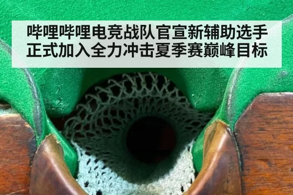 哔哩哔哩电竞战队官宣新辅助选手正式加入全力冲击夏季赛巅峰目标