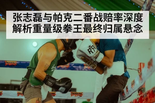 张志磊与帕克二番战赔率深度解析重量级拳王最终归属悬念