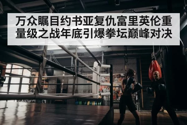 boxer training