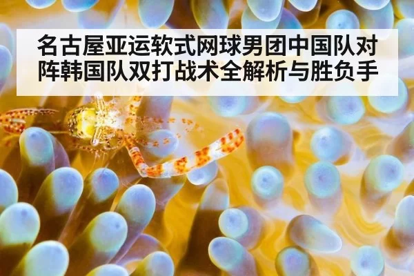 名古屋亚运软式网球男团中国队对阵韩国队双打战术全解析与胜负手